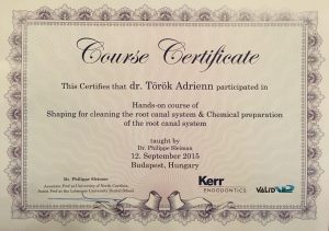 Török Adrienn - 2015, Kerr Endodontics, Budapest