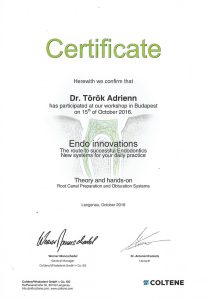 Török Adrienn - 2016, Endo Innovations Coltene, Budapest